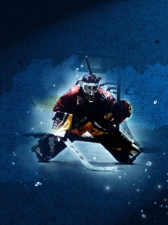 Screenshot №1 pro téma Ice Hockey 240x320