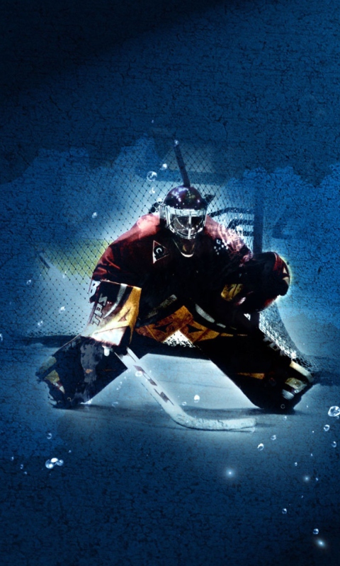 Das Ice Hockey Wallpaper 480x800