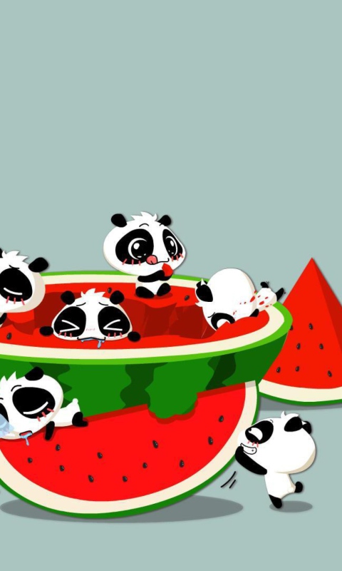 Обои Panda And Watermelon 480x800