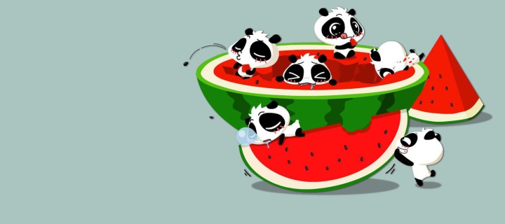 Panda And Watermelon wallpaper 720x320