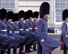 Sfondi Buckingham Palace Queens Guard 220x176