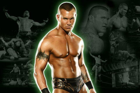 Das Randy Orton Wallpaper 480x320