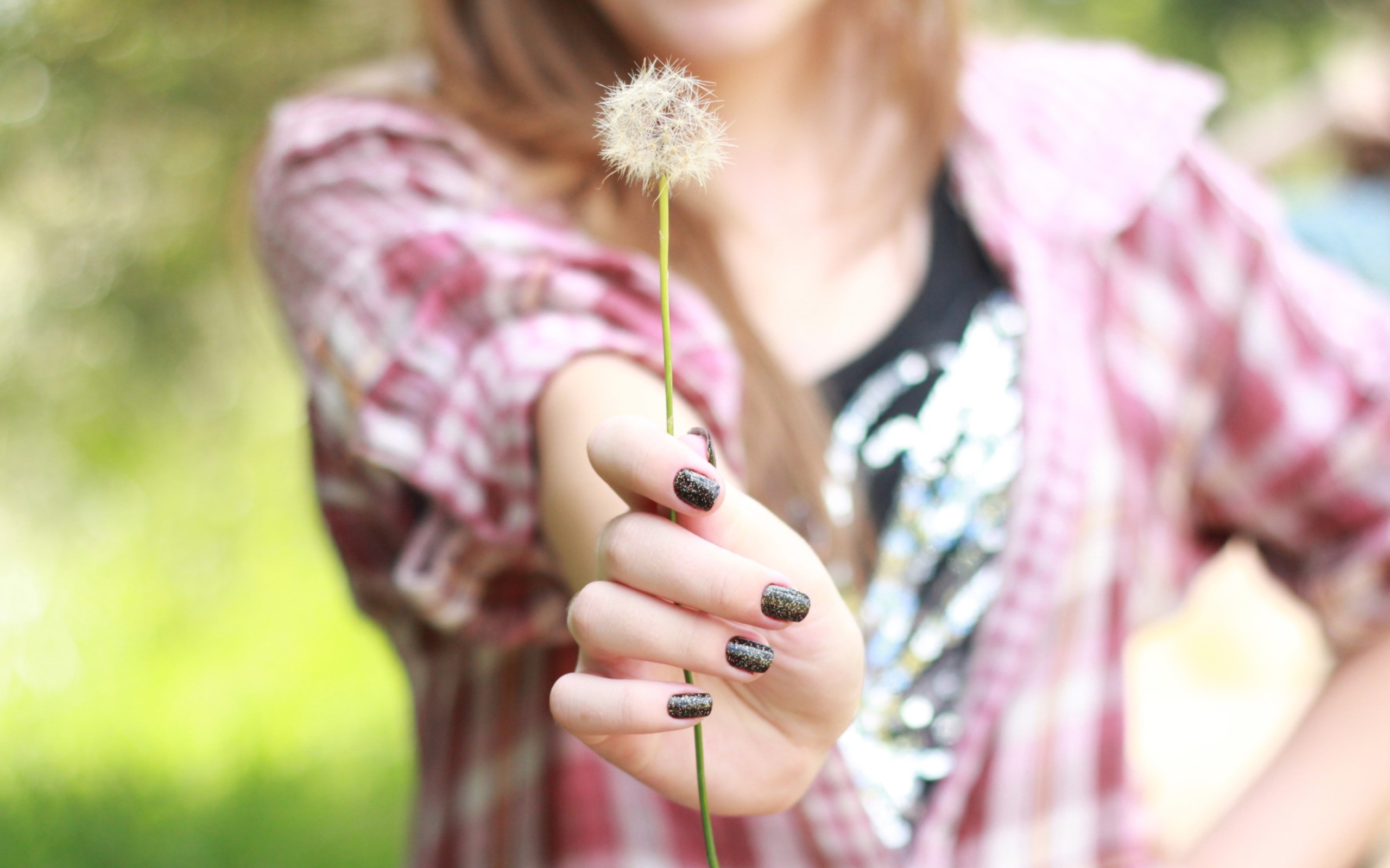 Blowball In Her Hand wallpaper 2560x1600