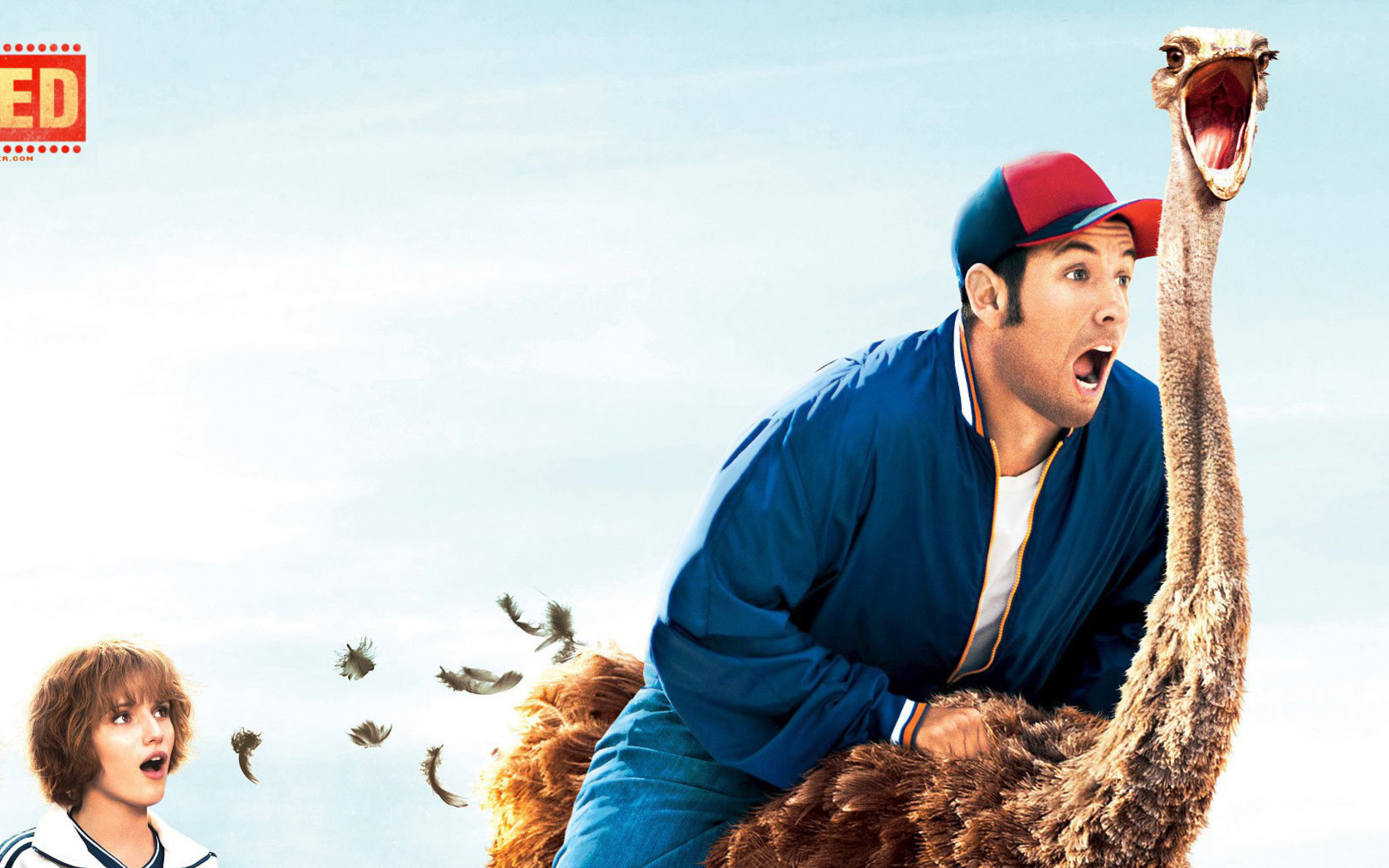 Fondo de pantalla Blended Film with Adam Sandler 2560x1600