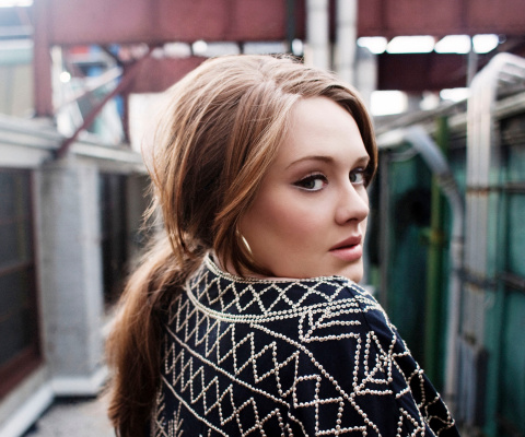 Adele screenshot #1 480x400