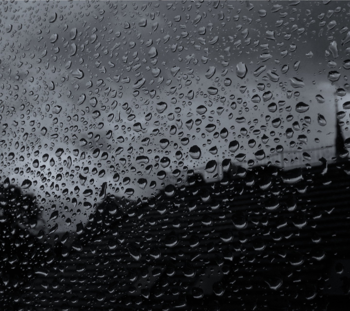 Fondo de pantalla Rainy Day 1440x1280