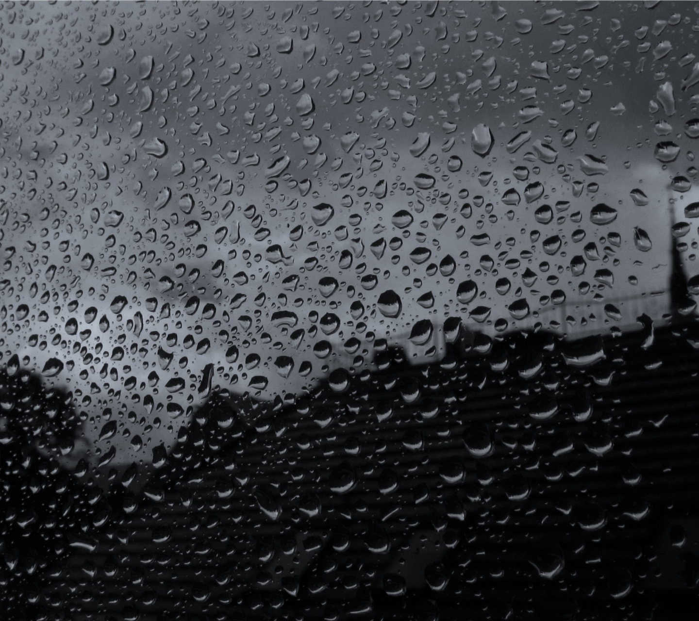 Rainy Day wallpaper 1440x1280