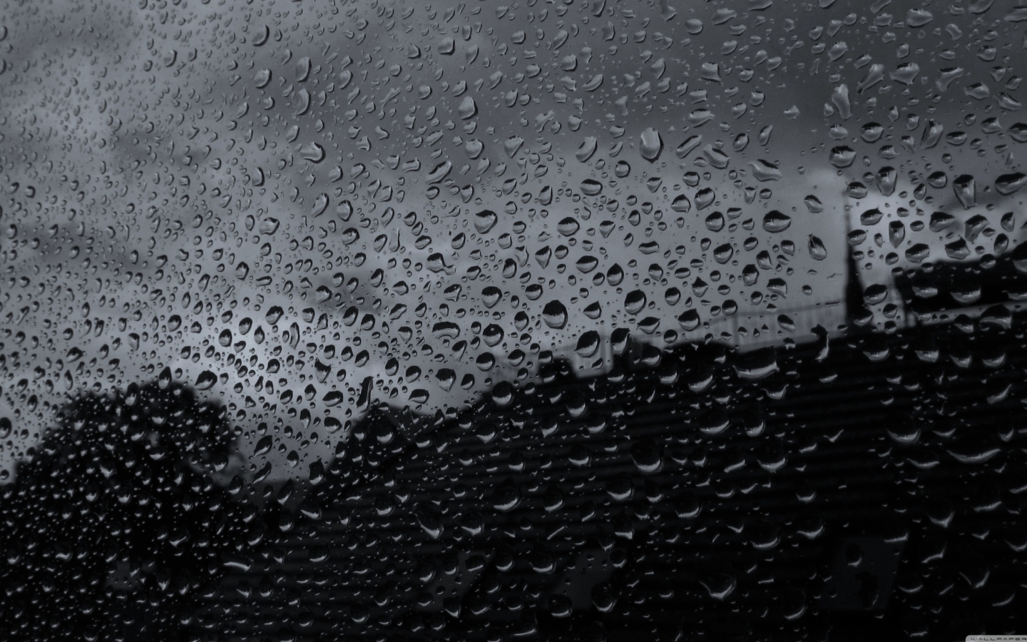 Rainy Day screenshot #1 1440x900