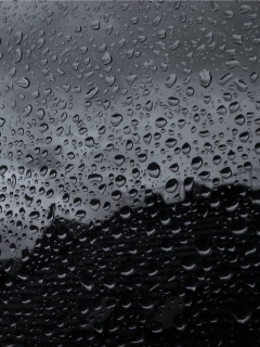 Rainy Day screenshot #1 240x320