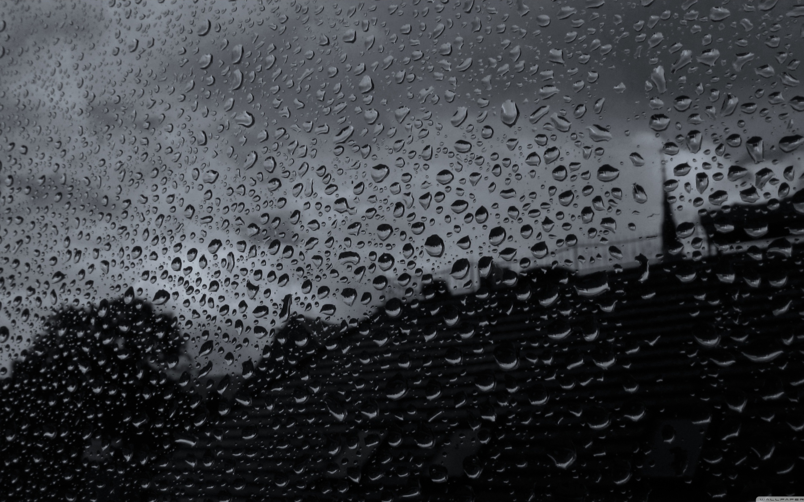 Rainy Day wallpaper 2560x1600