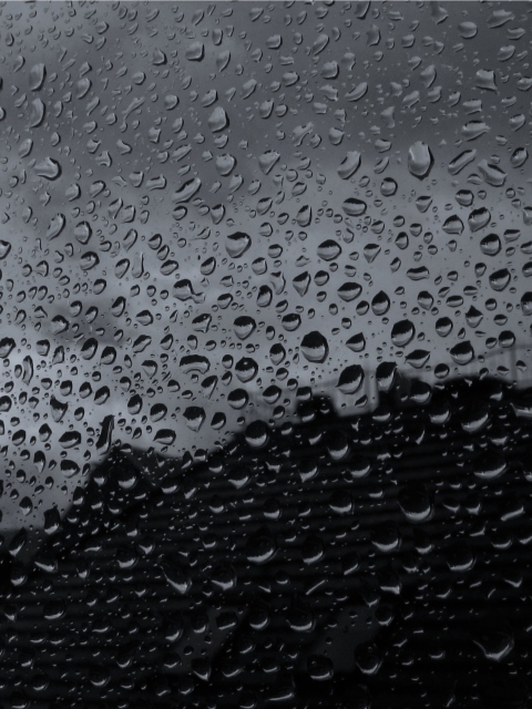 Rainy Day screenshot #1 480x640