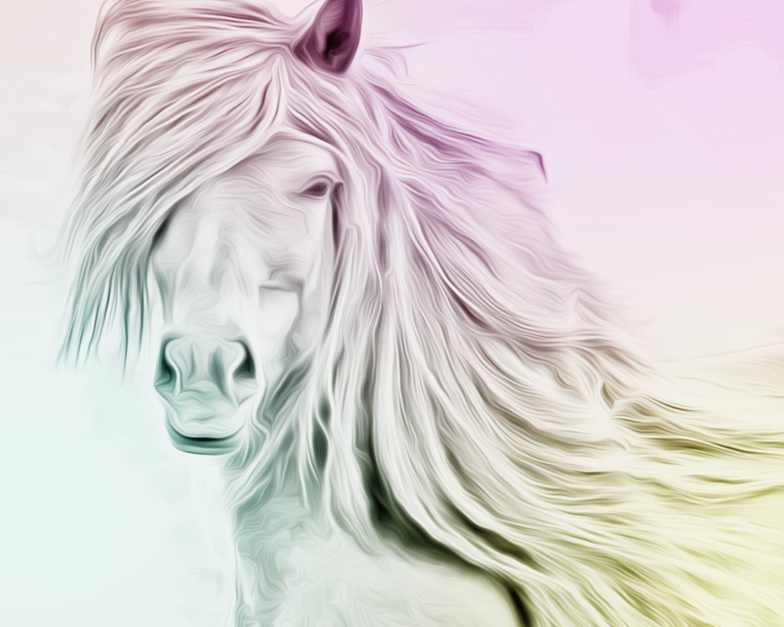 Horse Art screenshot #1 1600x1280