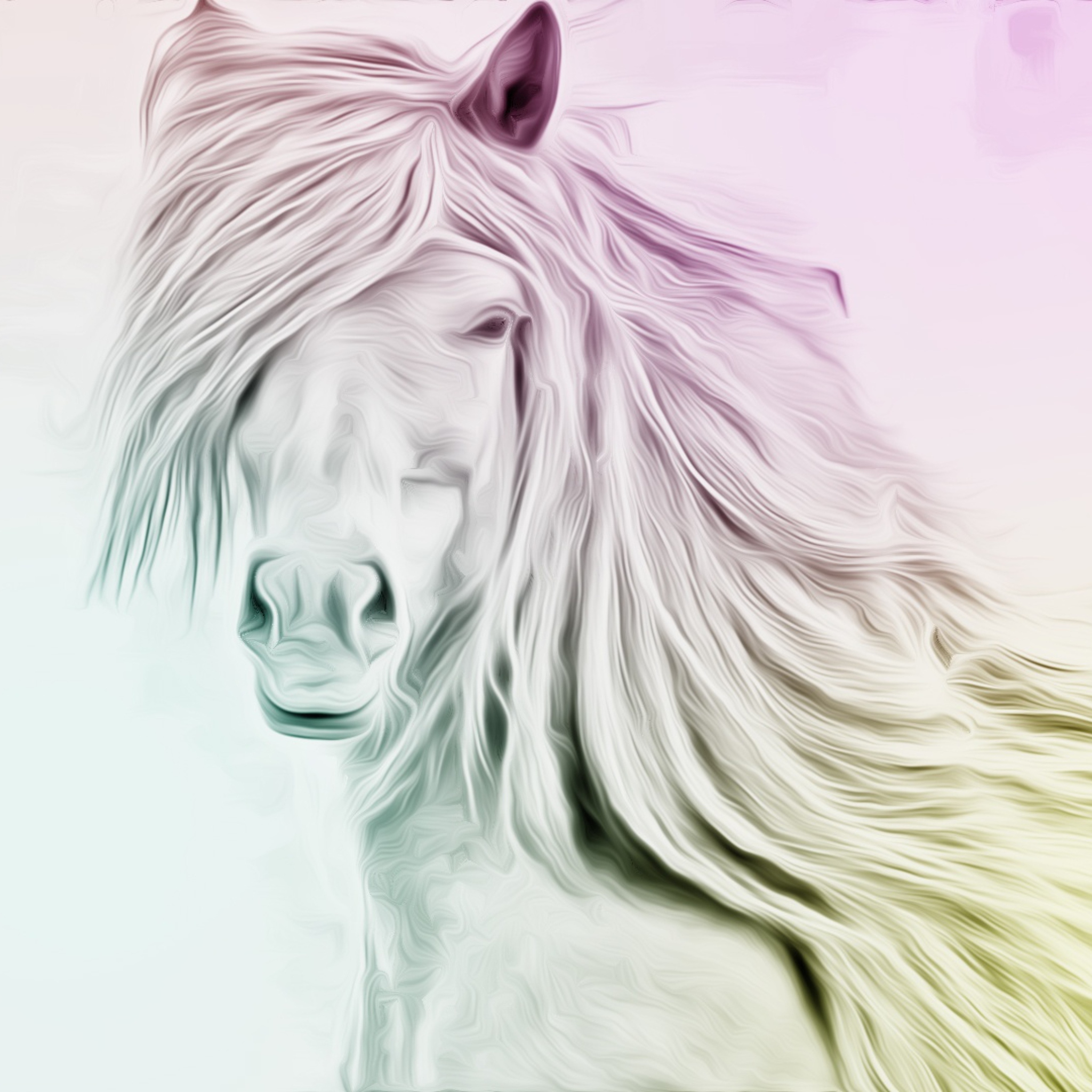 Fondo de pantalla Horse Art 2048x2048