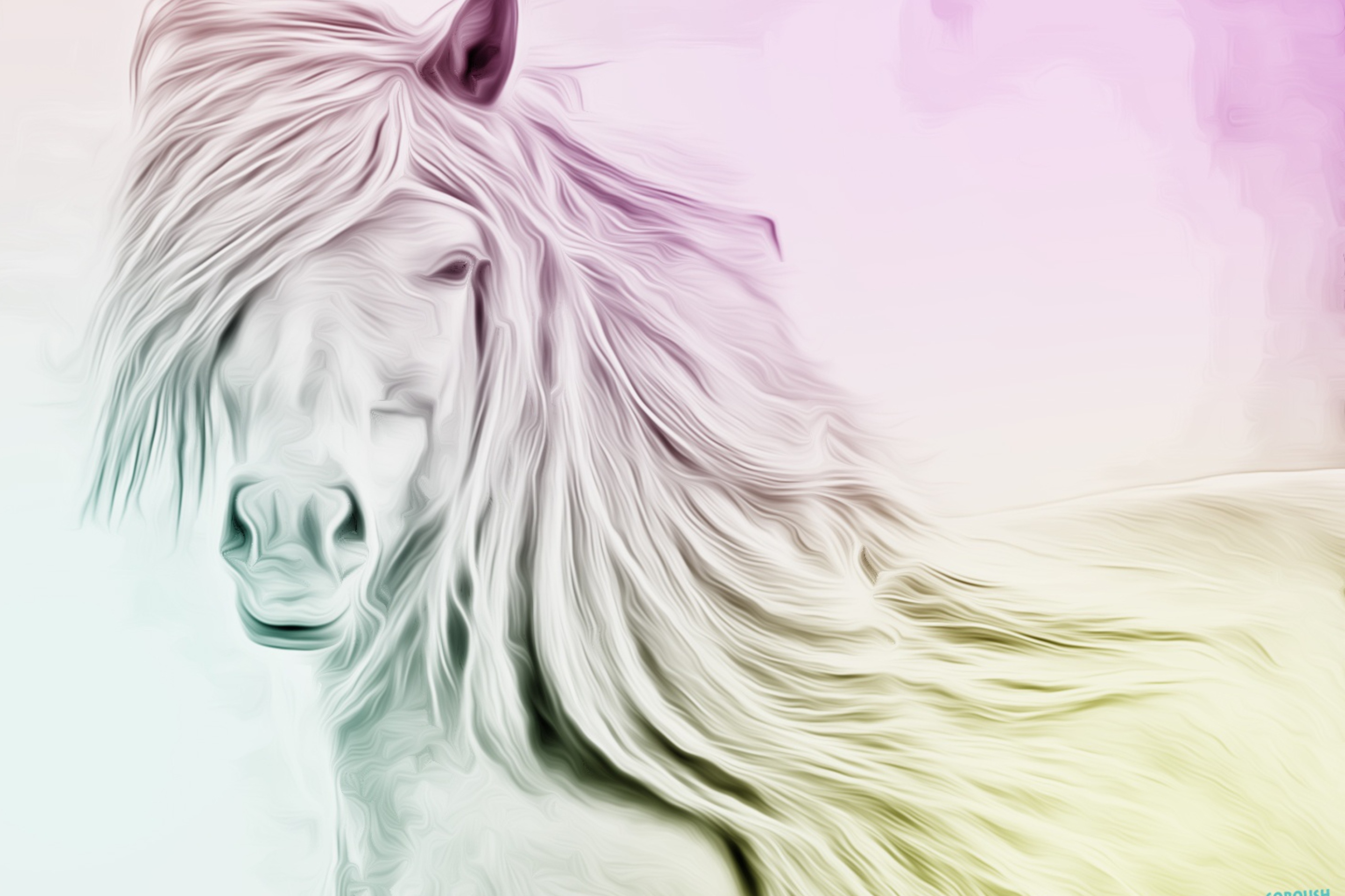 Das Horse Art Wallpaper 2880x1920