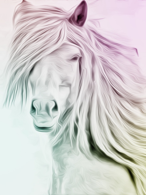 Fondo de pantalla Horse Art 480x640