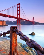 Обои Golden Gate Bridge San Francisco 176x220
