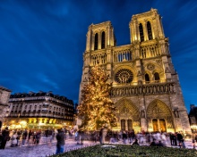 Das Notre Dame Cathedral Wallpaper 220x176