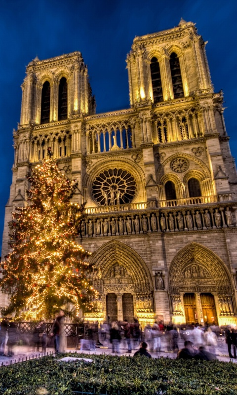 Notre Dame Cathedral wallpaper 480x800