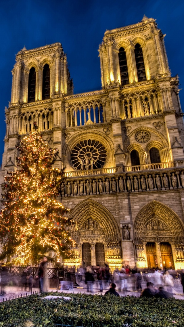 Fondo de pantalla Notre Dame Cathedral 640x1136