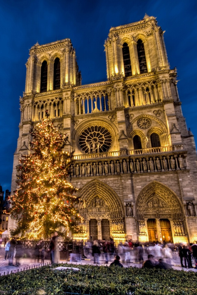 Das Notre Dame Cathedral Wallpaper 640x960