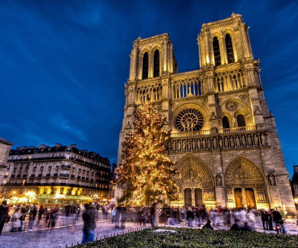 Notre Dame Cathedral wallpaper 960x800