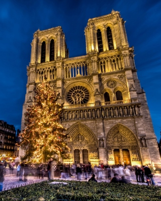 Notre Dame Cathedral Wallpaper for iPhone 5