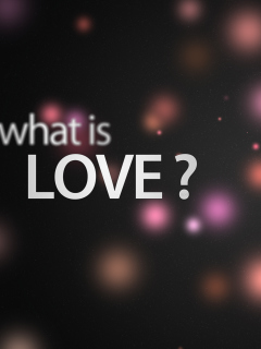Das What Is Love? Wallpaper 240x320