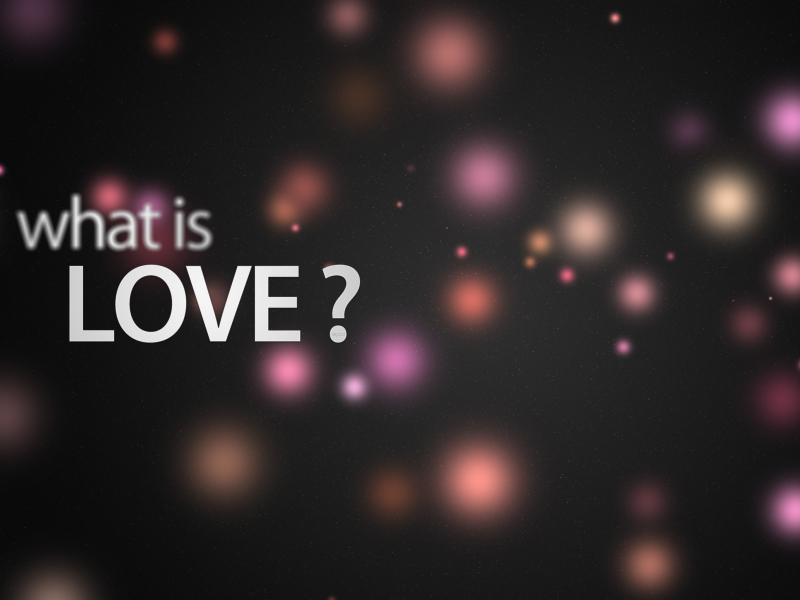 Обои What Is Love? 800x600