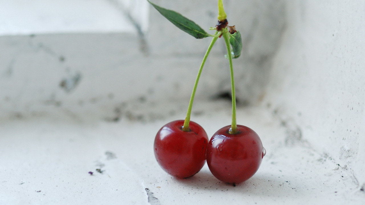 Fresh Cherry wallpaper 1280x720