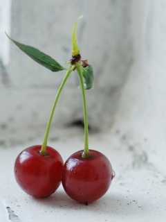 Обои Fresh Cherry 240x320