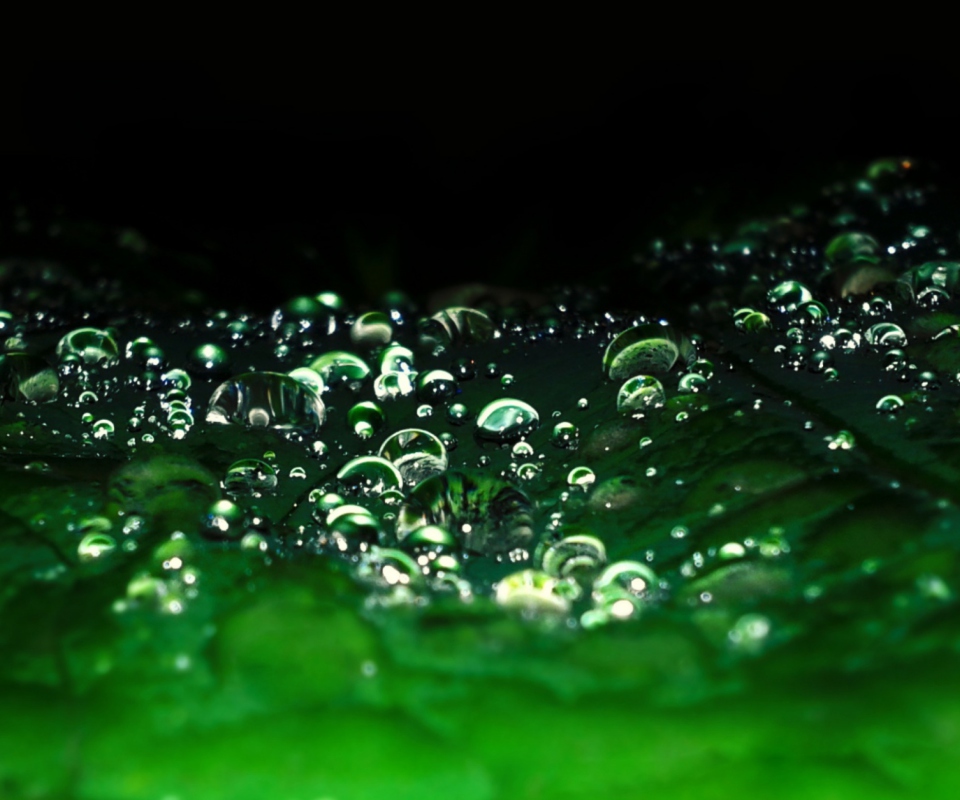 Rain Drops wallpaper 960x800