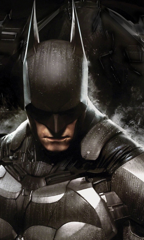 Screenshot №1 pro téma Batman: Arkham Knight 480x800