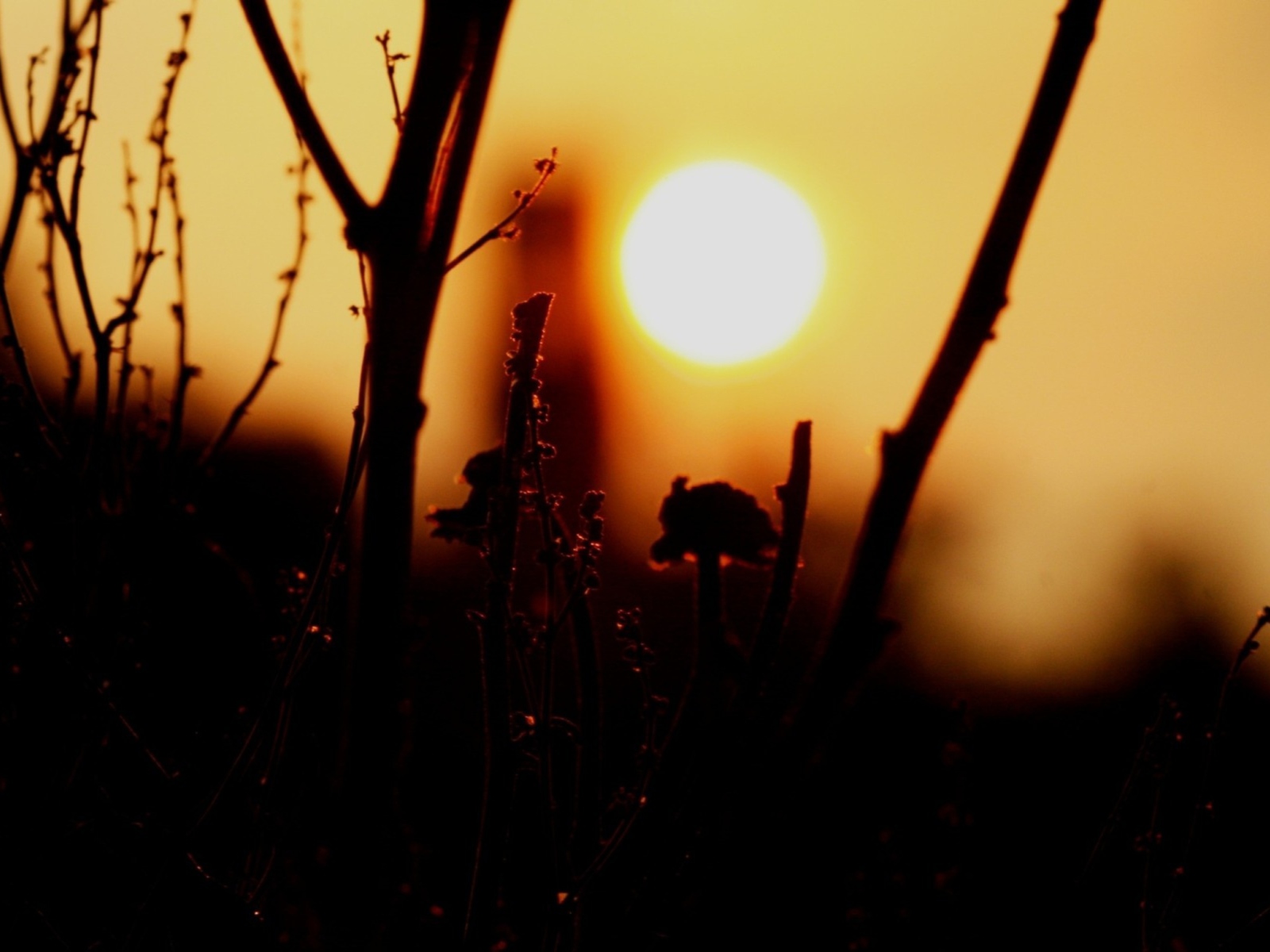 Sunset screenshot #1 1600x1200