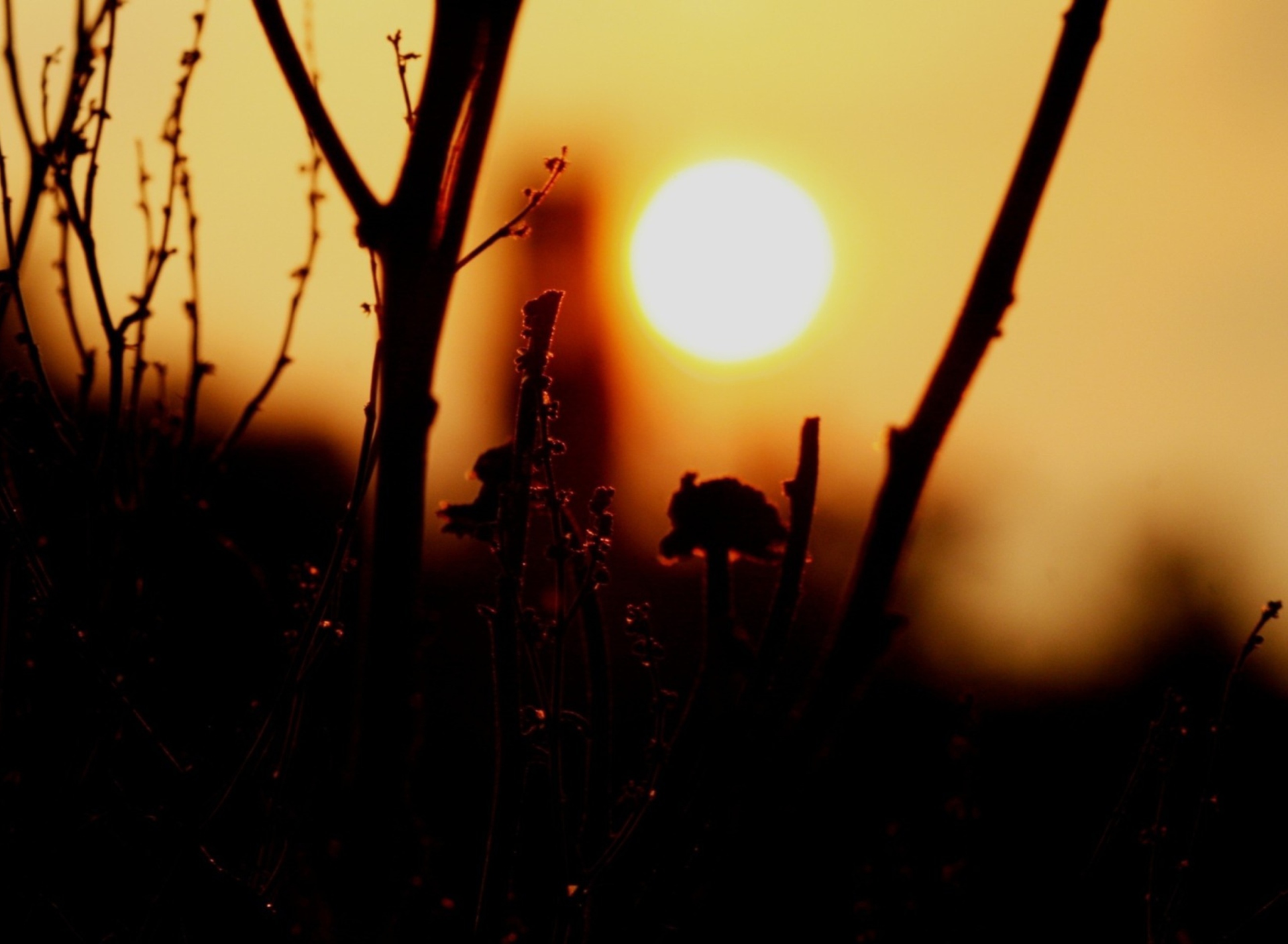 Sunset screenshot #1 1920x1408
