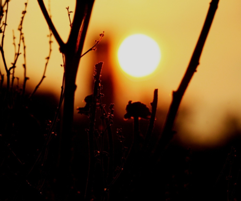 Sunset screenshot #1 960x800