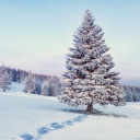 Snowy Forest Winter Scenery screenshot #1 128x128