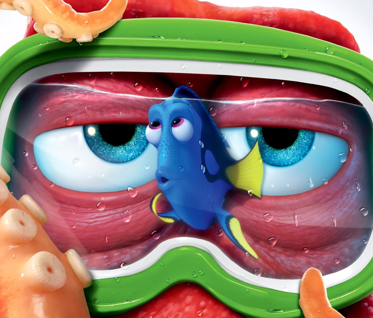 Обои Finding Dory 3D Film and Nemo Fish 1200x1024