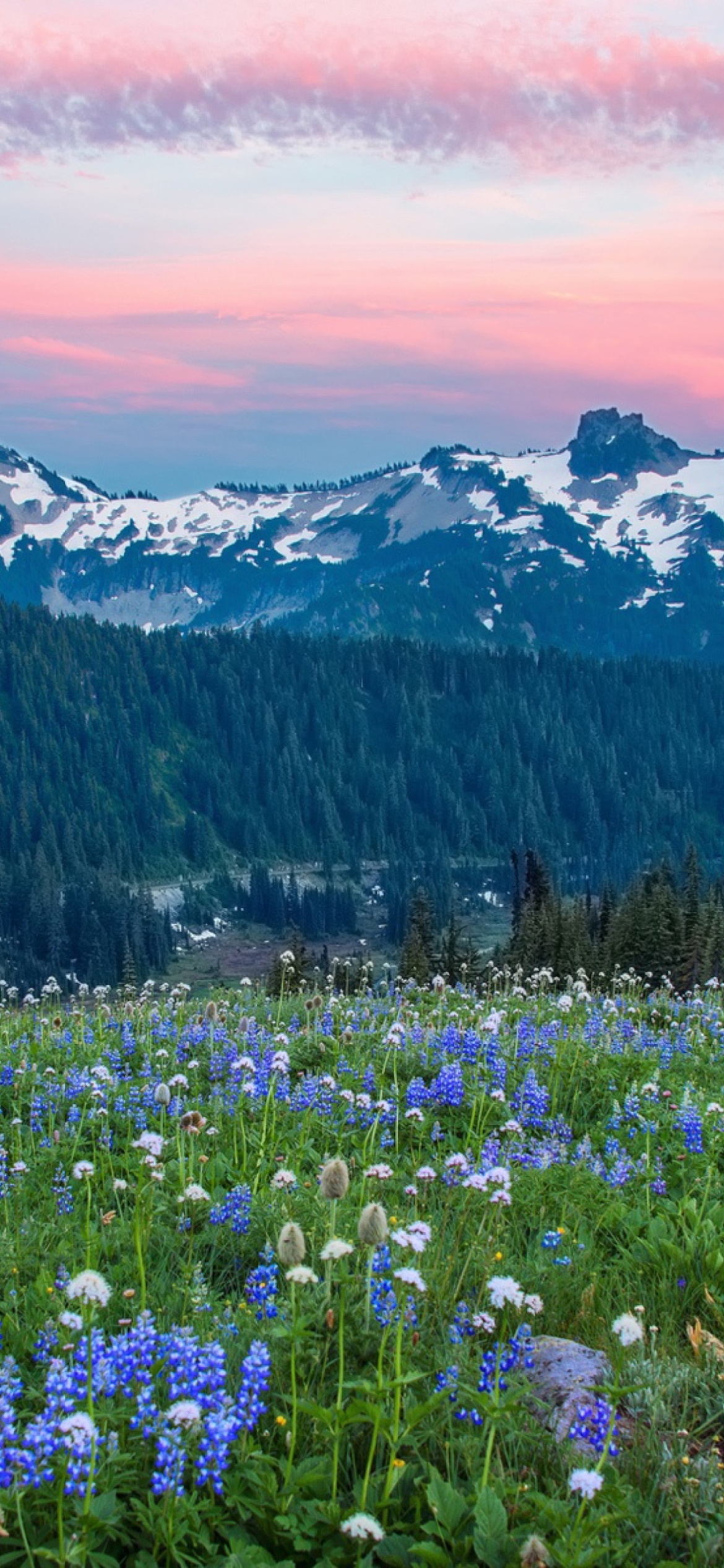 Screenshot №1 pro téma Mount Rainier Washington Clouds 1170x2532