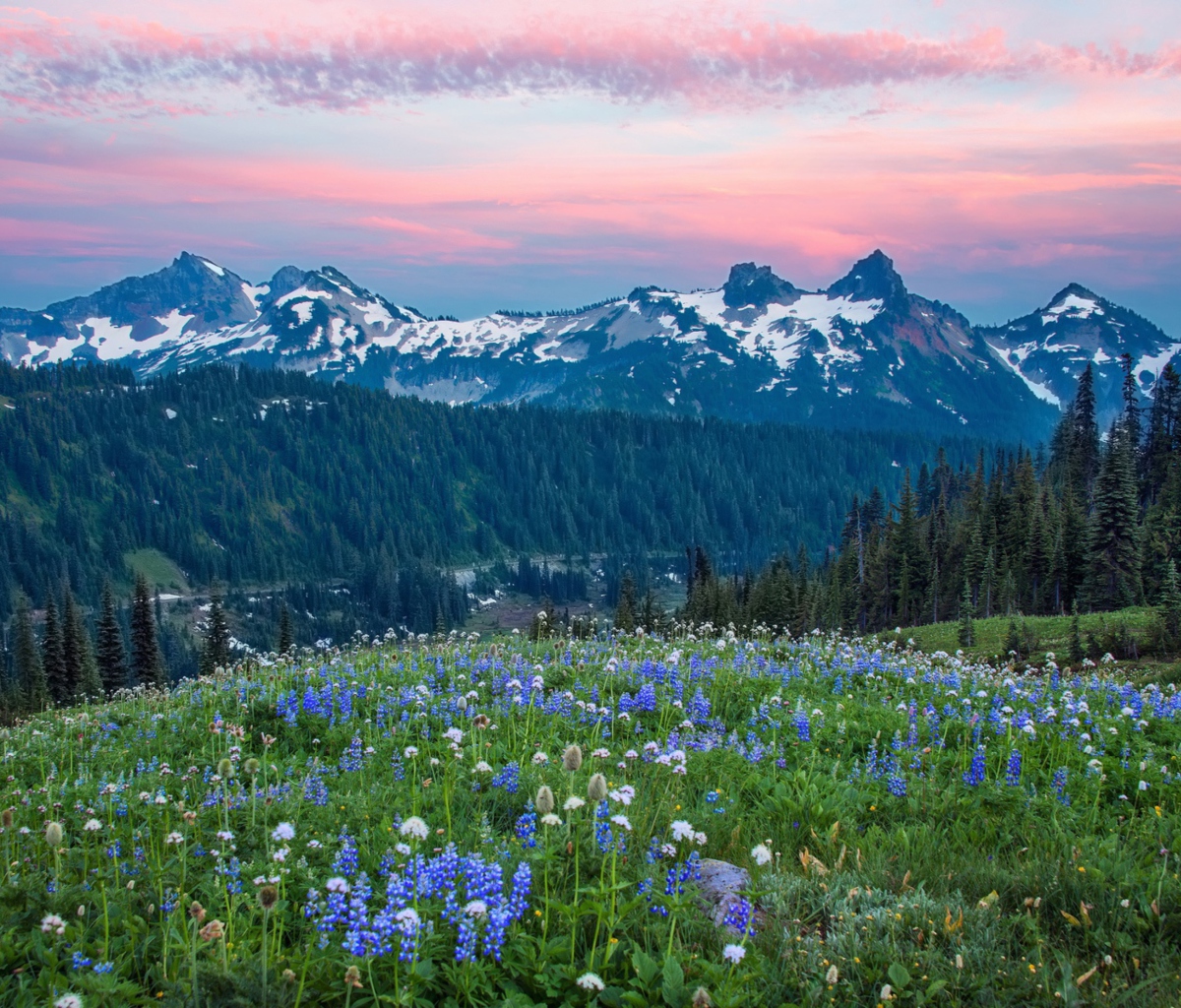 Sfondi Mount Rainier Washington Clouds 1200x1024