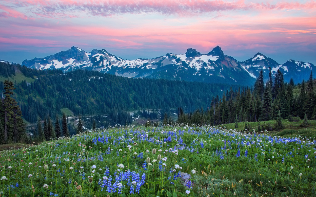 Screenshot №1 pro téma Mount Rainier Washington Clouds 1280x800