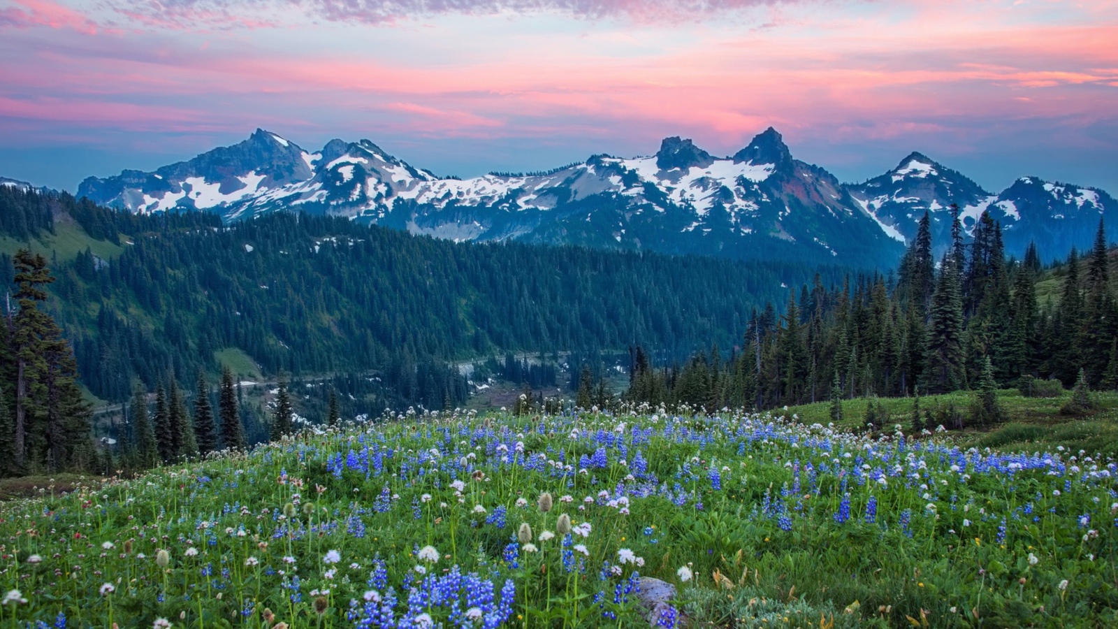 Mount Rainier Washington Clouds wallpaper 1600x900