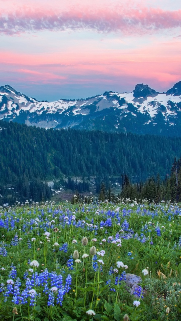 Screenshot №1 pro téma Mount Rainier Washington Clouds 360x640