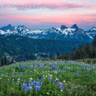 Mount Rainier Washington Clouds - Obrázkek zdarma pro 208x208