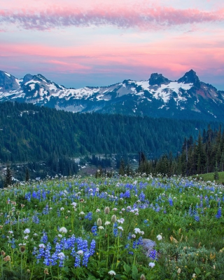 Mount Rainier Washington Clouds - Obrázkek zdarma pro Nokia X2