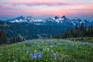 Mount Rainier Washington Clouds sfondi gratuiti per cellulari Android, iPhone, iPad e desktop