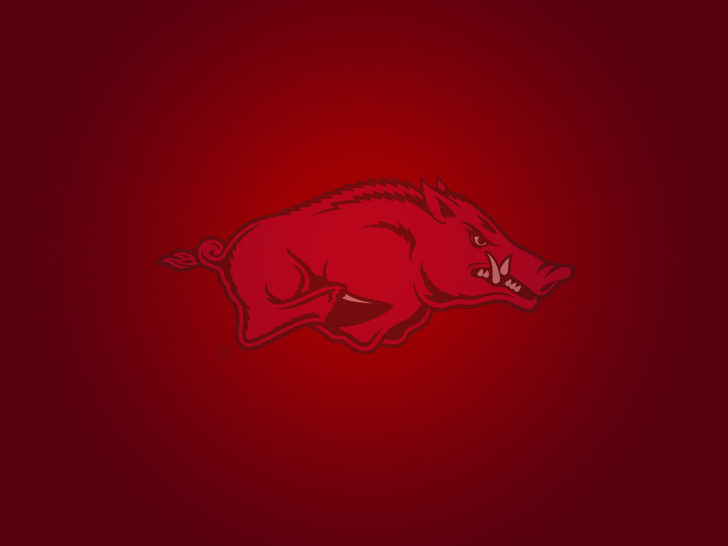 Screenshot №1 pro téma Arkansas Razorbacks 1024x768