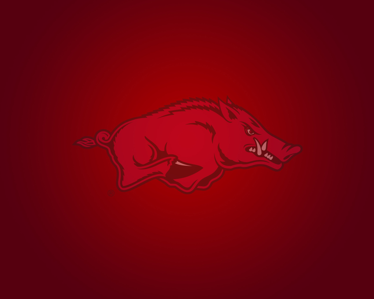 Sfondi Arkansas Razorbacks 1280x1024