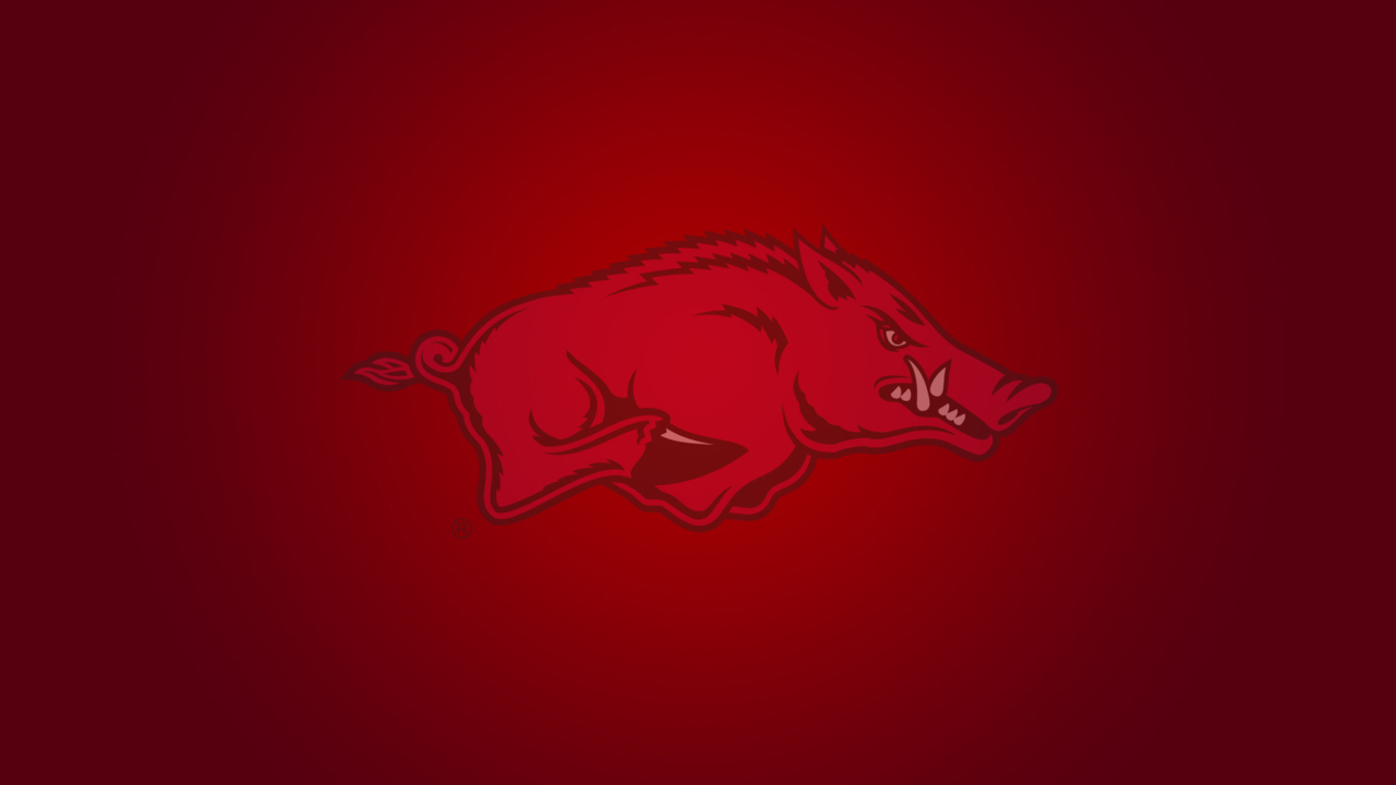 Fondo de pantalla Arkansas Razorbacks 1280x720