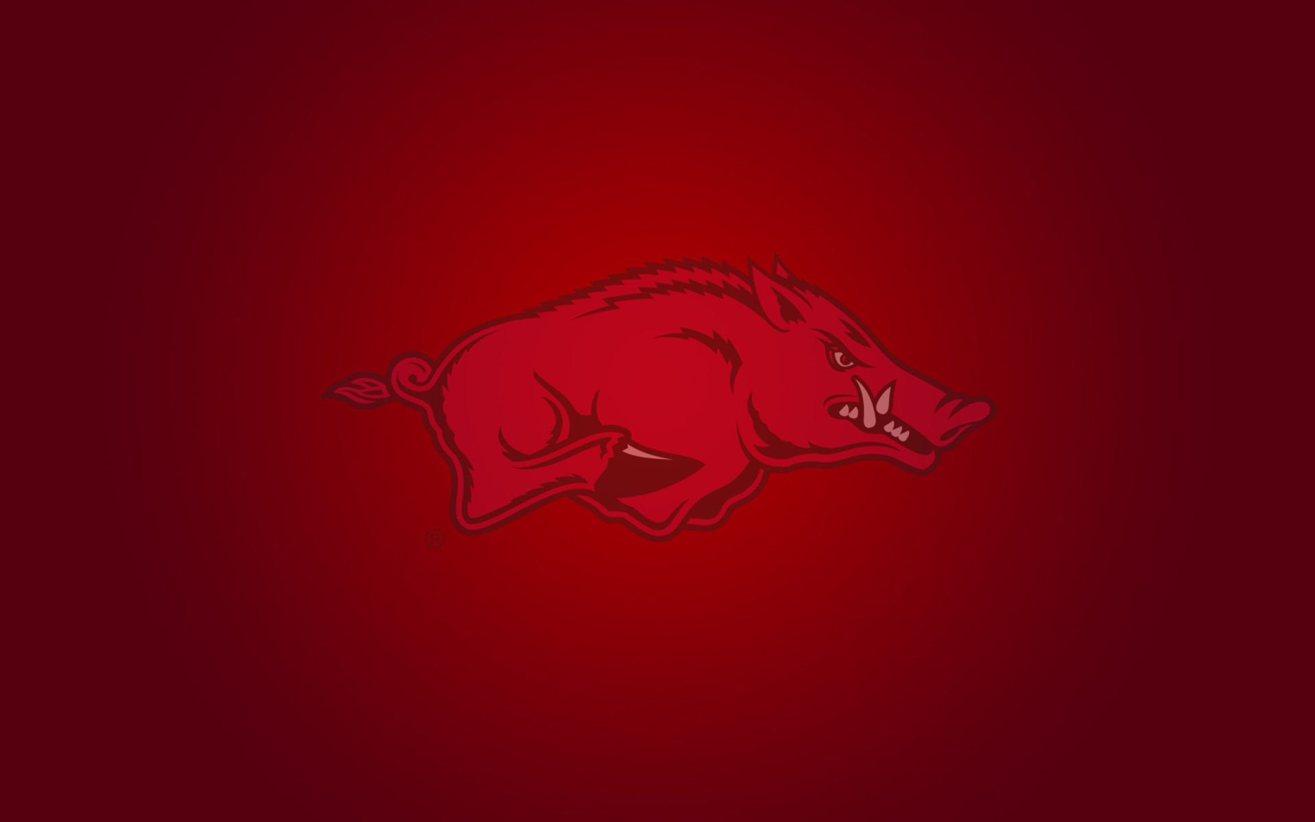 Fondo de pantalla Arkansas Razorbacks 1920x1200