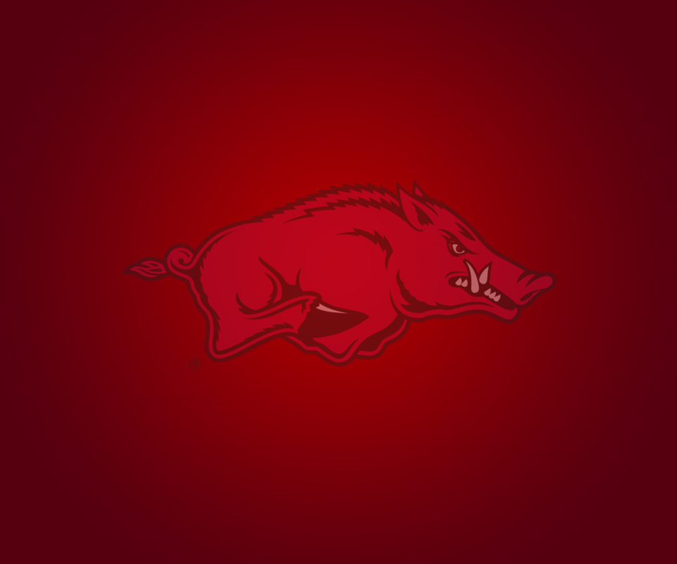 Arkansas Razorbacks wallpaper 960x800